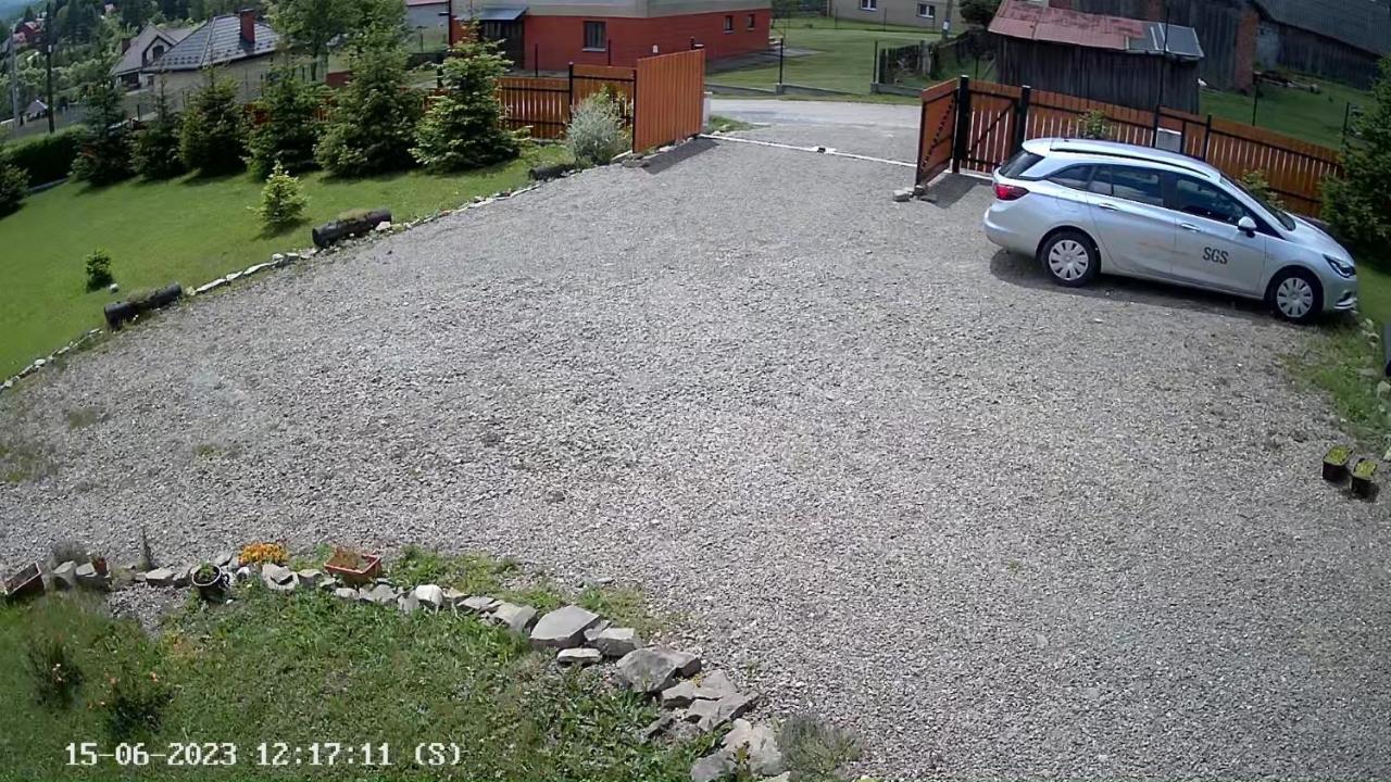 Buczynowe *